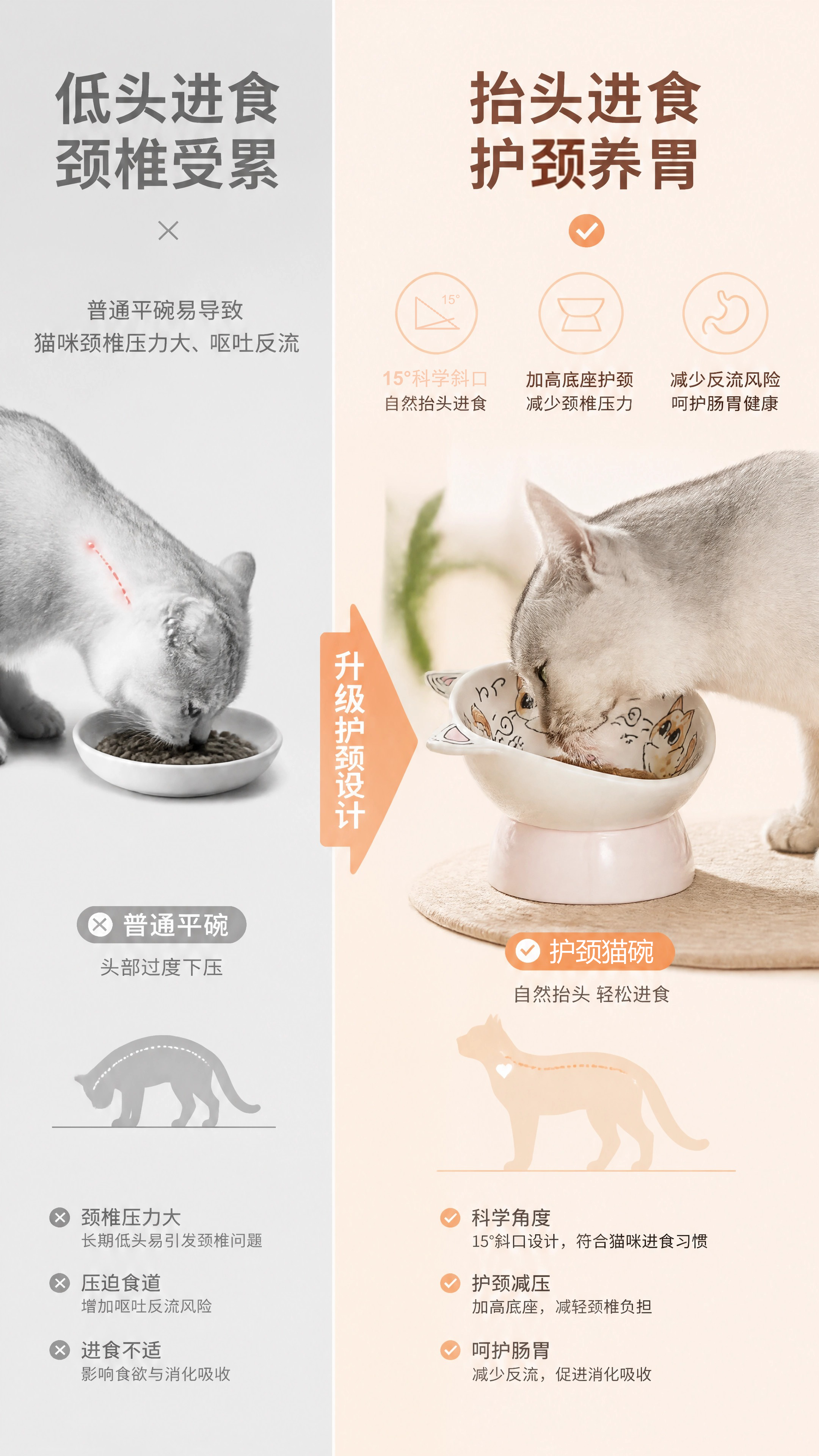 手绘猫碗详情页